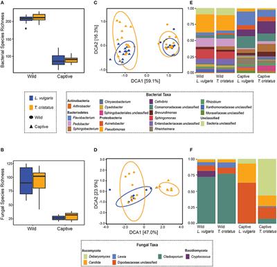 <mark class="highlighted">Captivity</mark> and Infection by the Fungal Pathogen Batrachochytrium salamandrivorans Perturb the Amphibian Skin Microbiome